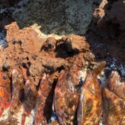 爆釣ガシラの切浜地磯