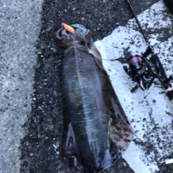 満潮1時間前‼️