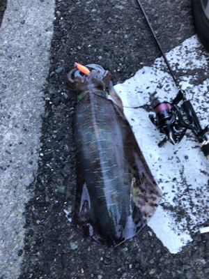 満潮1時間前‼️