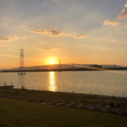 久々のチニング