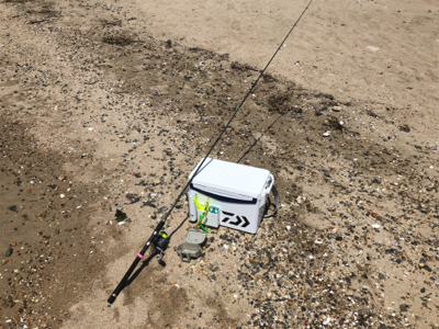 ピンギスならぬ豆ギスまつり