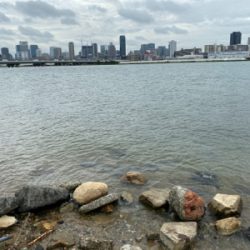 ワールドシャウラ でチニング