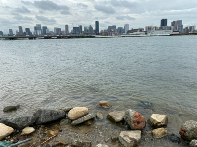 ワールドシャウラ でチニング