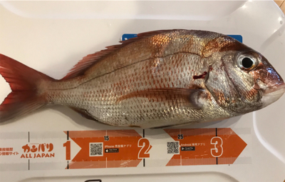 嵐のヒトツテンヤ