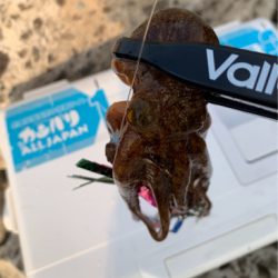 仕事帰り1時間！