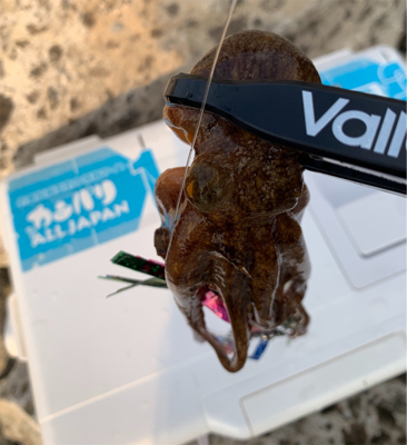 仕事帰り1時間！