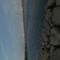 夕方のうなぎ釣り