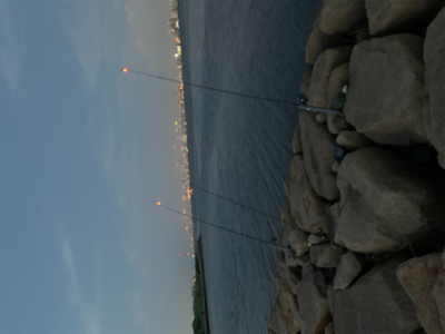 夕方のうなぎ釣り