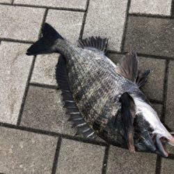 魚の活性低く反応悪い