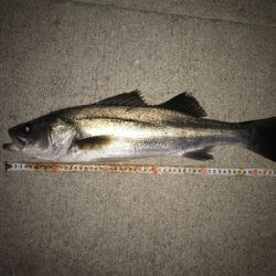 まぁまぁ活性高い?