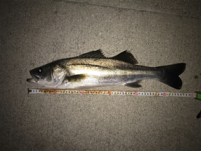 まぁまぁ活性高い？