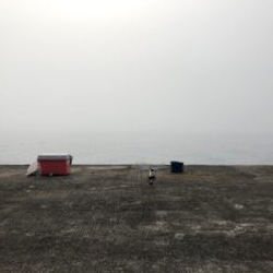 シイラは釣れず