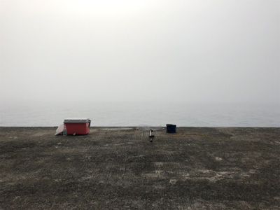 シイラは釣れず