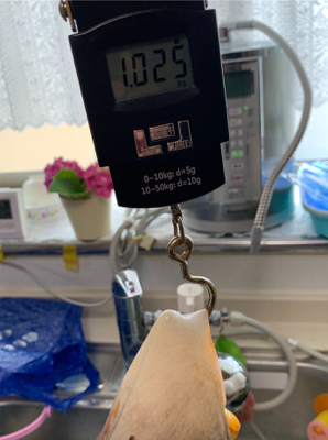 ショアタコで自己新!