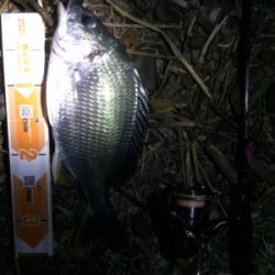 フロートアジング