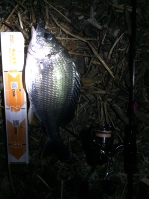 フロートアジング