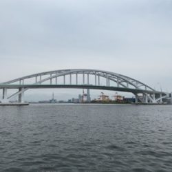 アジングでサバ大量