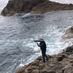 春烏賊最終かな?☆GUNNING-STYLE