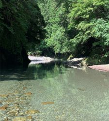 渓流に癒されて