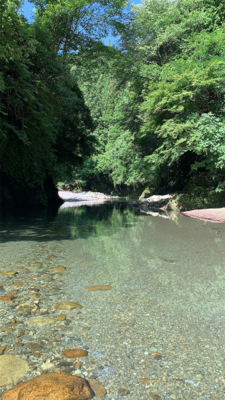 渓流に癒されて