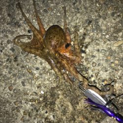 自分だけの話ですが