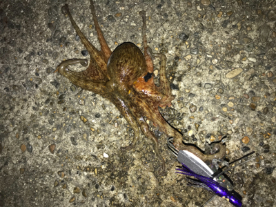 自分だけの話ですが