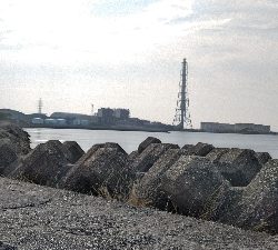 今日もイカ釣り(^_^)