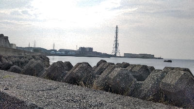 今日もイカ釣り(^_^)