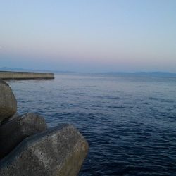 久々のエギング!!