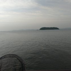 サバ入ってます!!