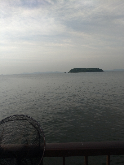 サバ入ってます!!