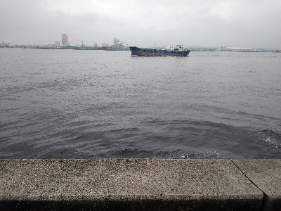 小雨の中でクロダイ2尾ゲット