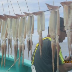 スルメイカ　51杯と絶好調！