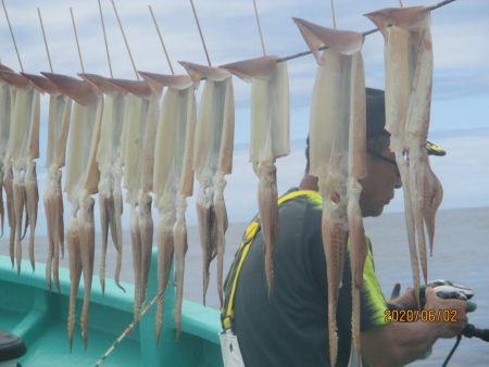 スルメイカ　51杯と絶好調！