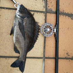 雨降る前に　～さざなみ公園～