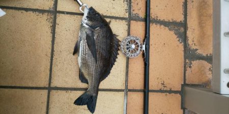 雨降る前に　～さざなみ公園～