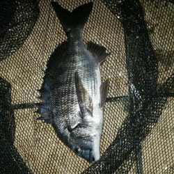 久々の複数枚 ~さざなみ公園~