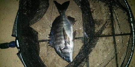 久々の複数枚 ~さざなみ公園~