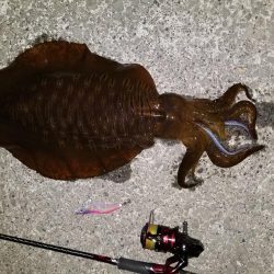 二キロアップ(^^)v