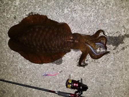 二キロアップ(^^)v