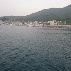 胴突でまさかのチヌ