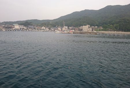 胴突でまさかのチヌ