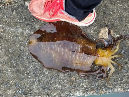 デイのキロアップ(^^)v