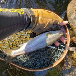 ちびっこ入れ食い！！