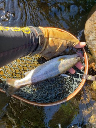 ちびっこ入れ食い！！
