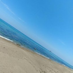 真っ昼間からキス釣り