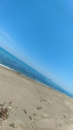 真っ昼間からキス釣り