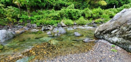今年はよく追う