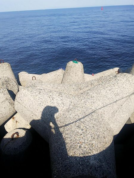 青物狙いでしたが