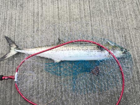 初❗️、、パー…